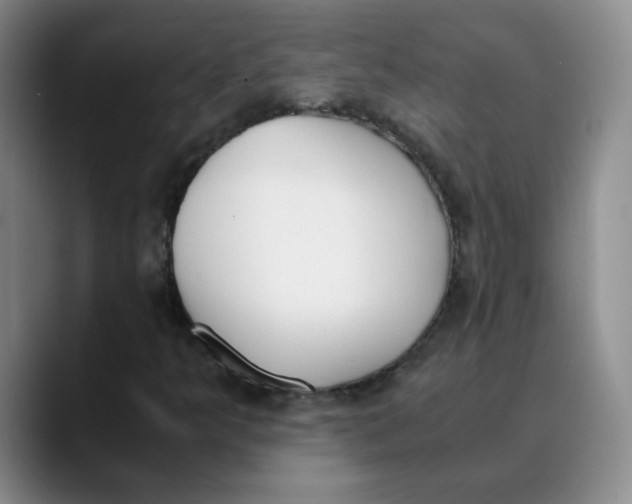 X0000089831349200707191818