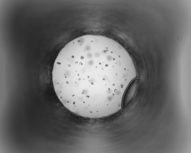 X0000089831350200707191818