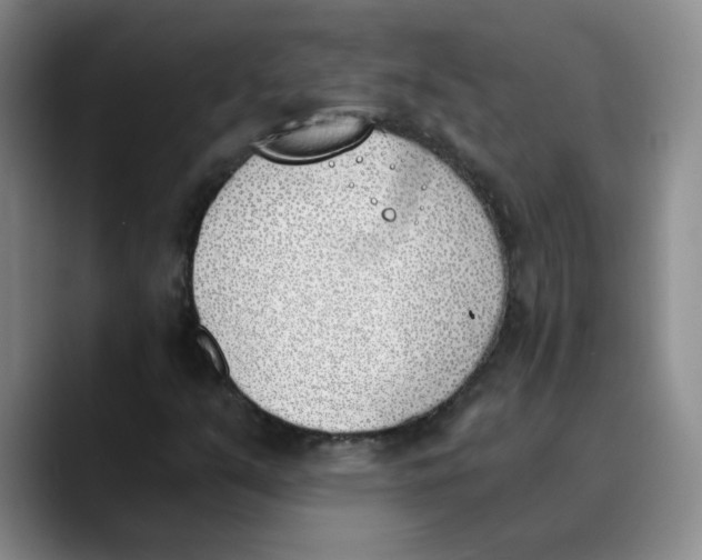 X0000089831351200707191818