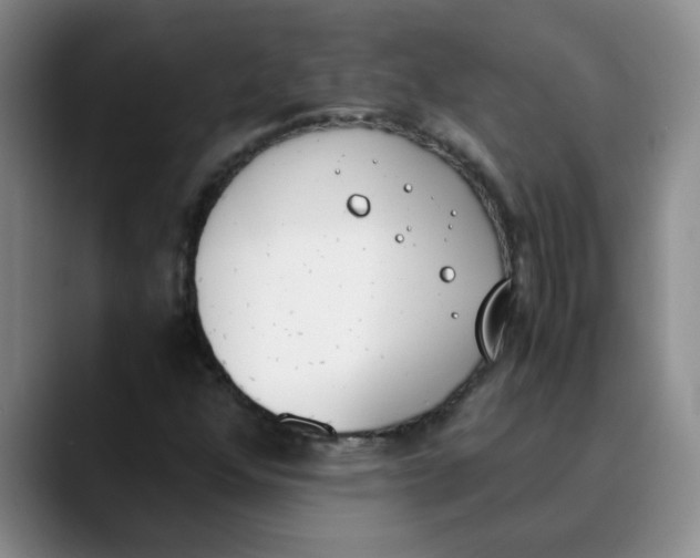 X0000089831352200707191818