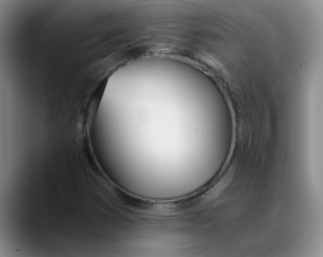 X0000089831353200707191818