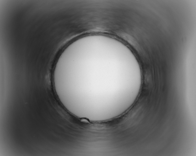 X0000089831356200707191818