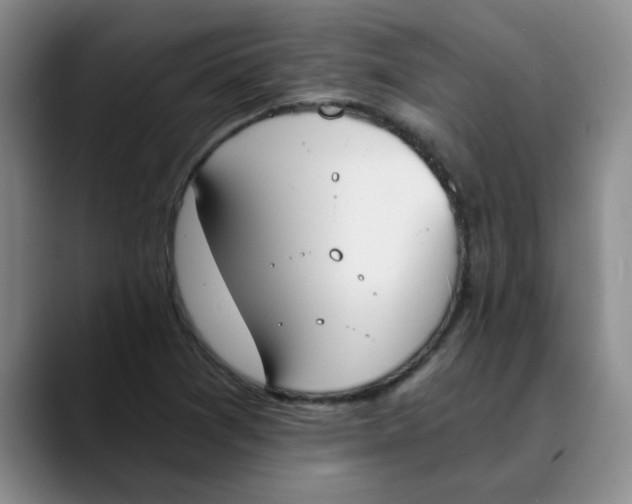 X0000089831361200707191818