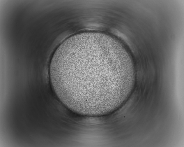 X0000089831362200707191818