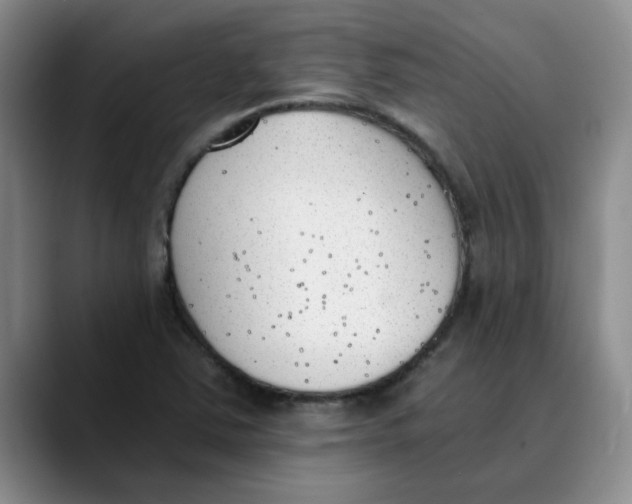 X0000089831363200707191818