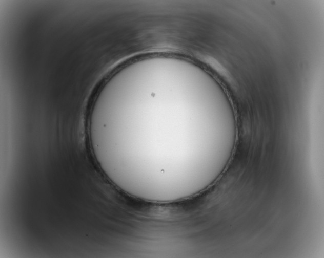 X0000089831364200707191818