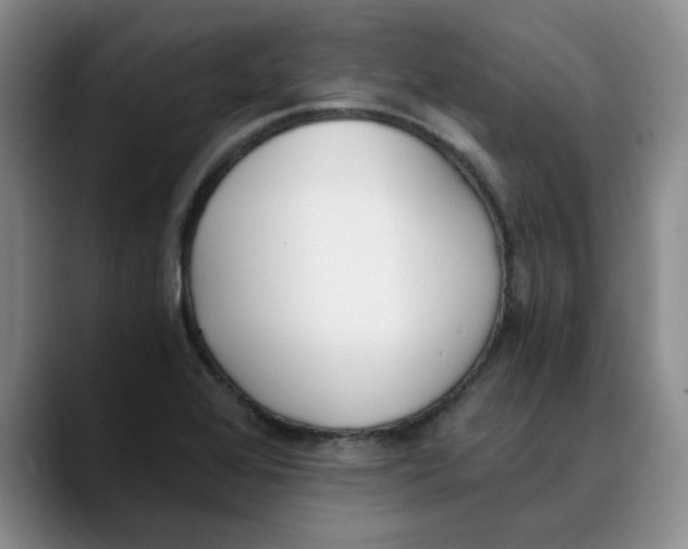 X0000089831368200707191818