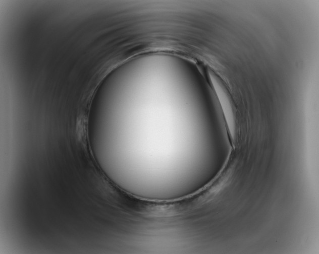 X0000089831369200707191818