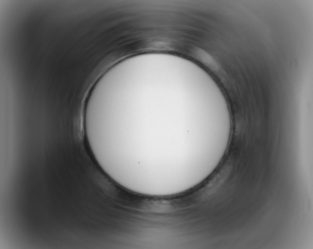 X0000089831370200707191818