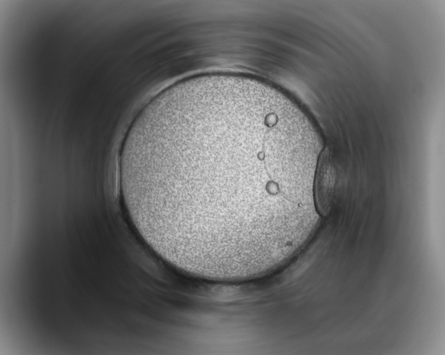 X0000089831371200707191818