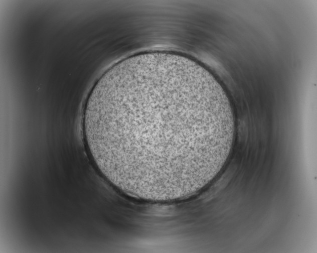 X0000089831374200707191818