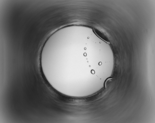 X0000089831375200707191818