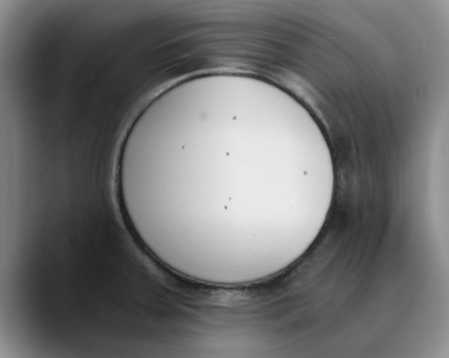 X0000089831379200707191818