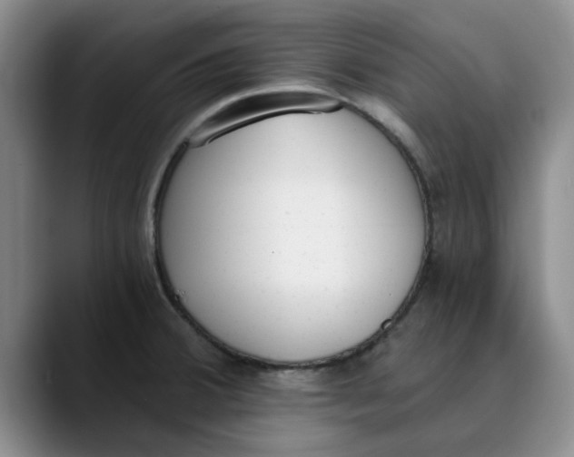 X0000089831380200707191818