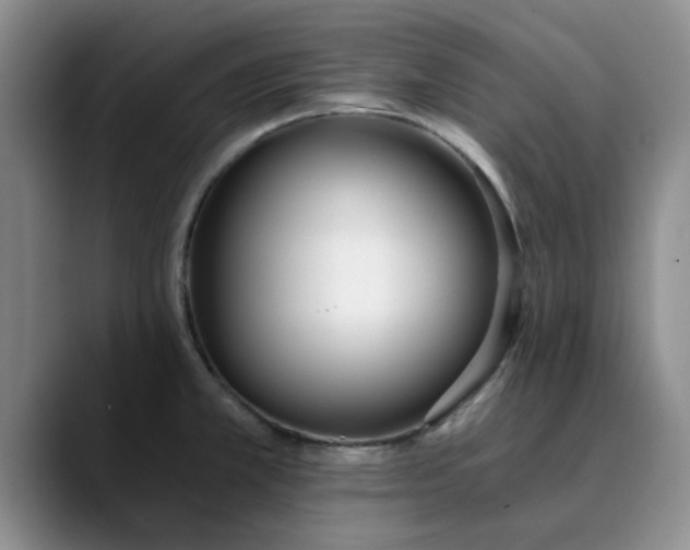 X0000089831381200707191818