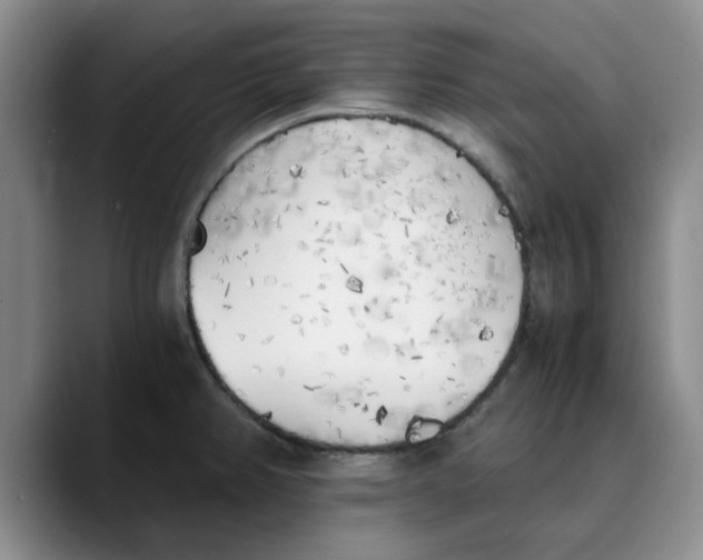 X0000089831382200707191818