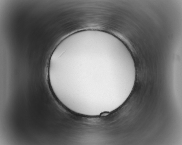 X0000089831383200707191818