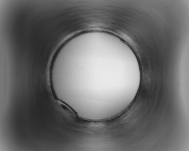 X0000089831384200707191818