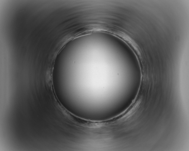 X0000089831385200707191818