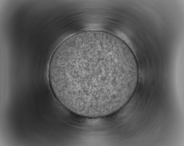 X0000089831386200707191818