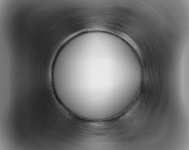 X0000089831388200707191818