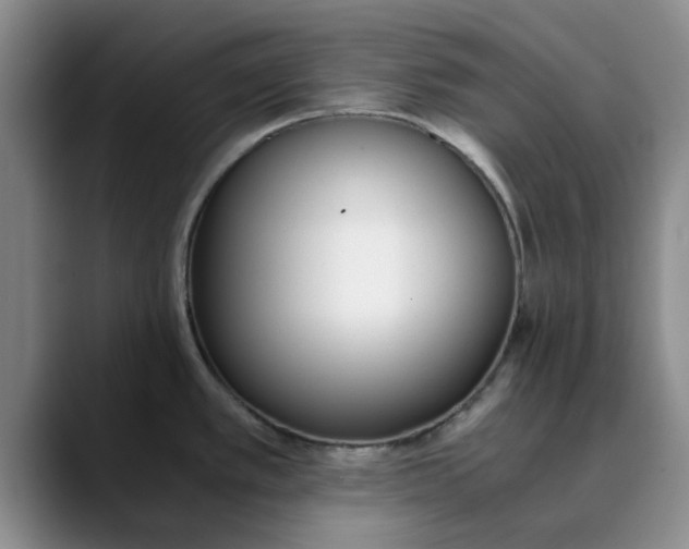 X0000089831389200707191818