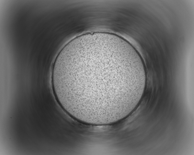 X0000089831390200707191818