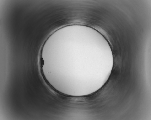 X0000089831391200707191818