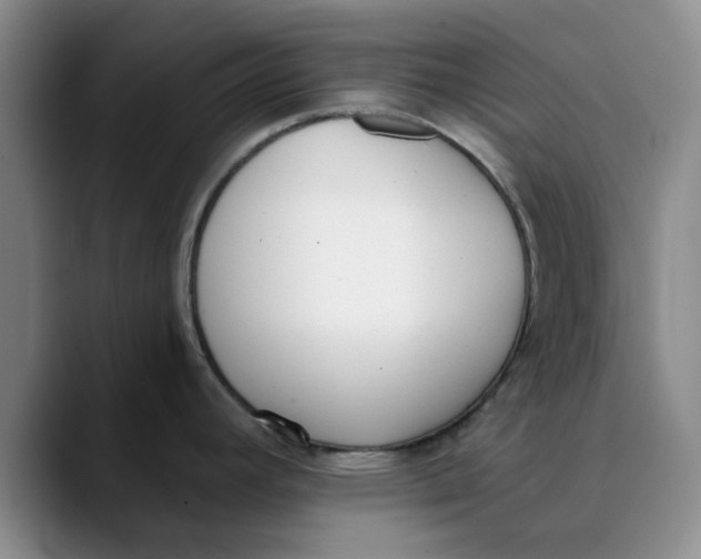 X0000089831392200707191818