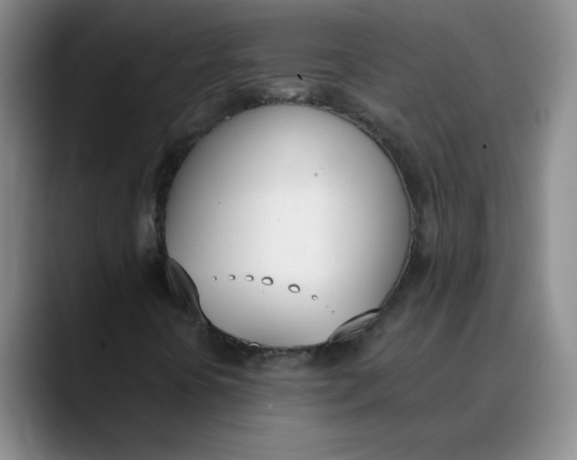 X0000089831394200707191817