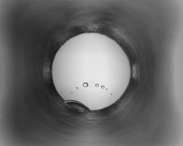 X0000089831395200707191817