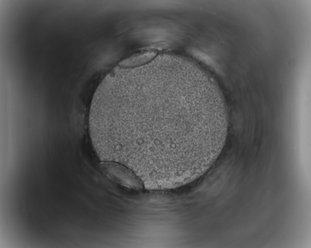 X0000089831399200707191817