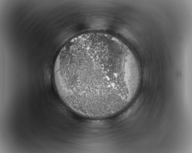 X0000089831401200707191817