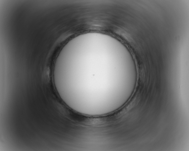 X0000089831402200707191817