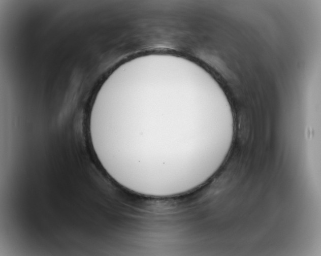 X0000089831404200707191817