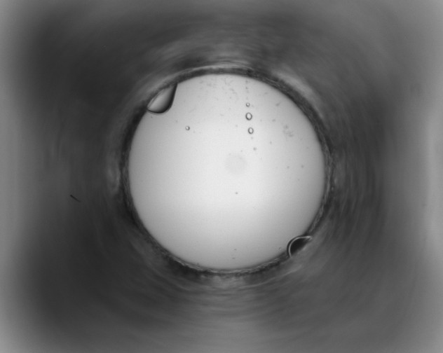 X0000089831407200707191817