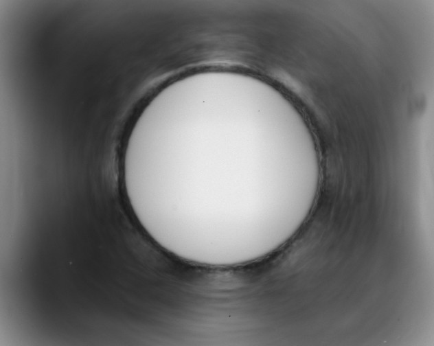 X0000089831408200707191818