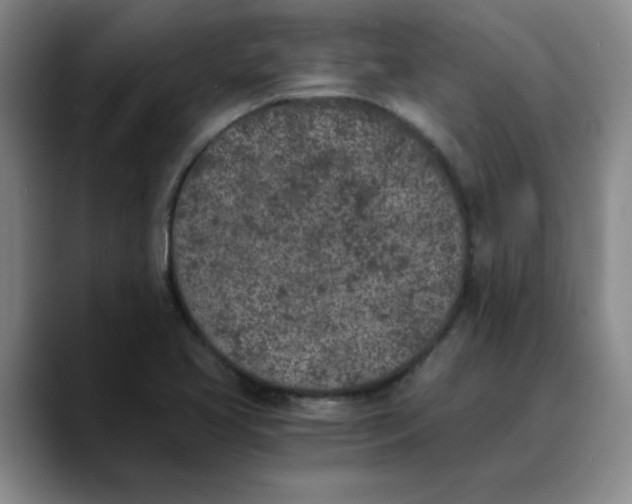 X0000089831413200707191818