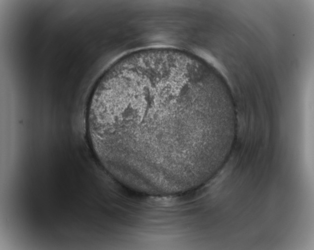 X0000089831415200707191818