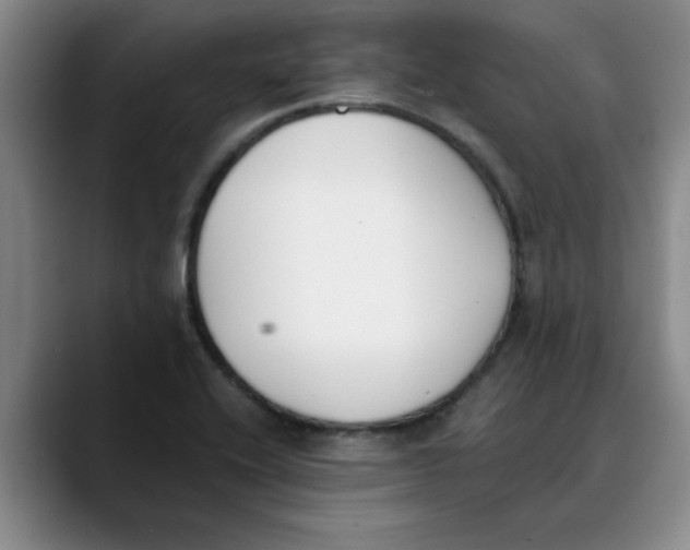 X0000089831416200707191818