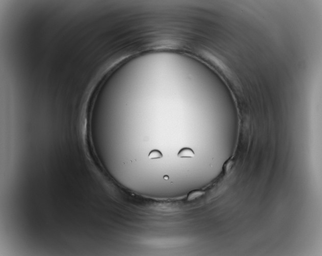 X0000089831418200707191818