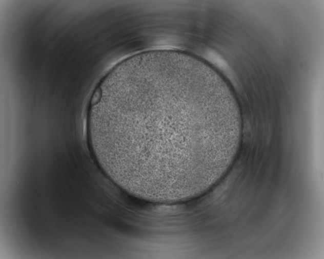 X0000089831419200707191818