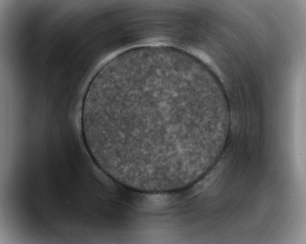 X0000089831421200707191818