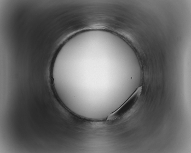 X0000089831422200707191818