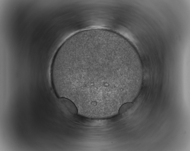 X0000089831423200707191818