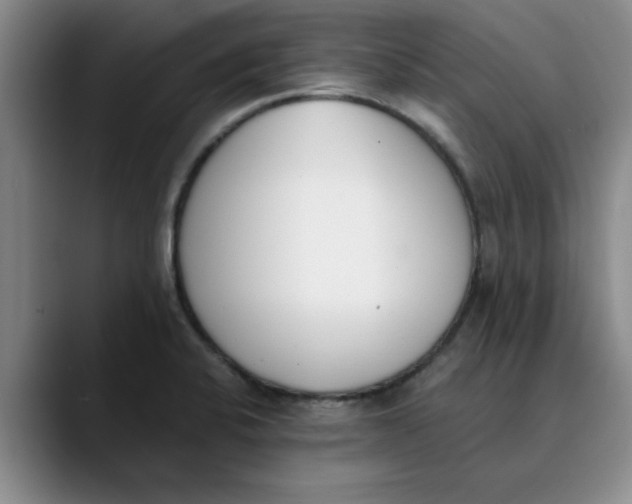 X0000089831424200707191818