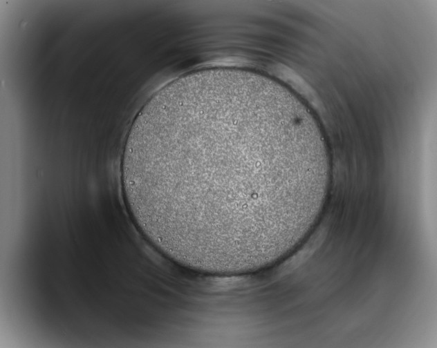 X0000089831425200707191818