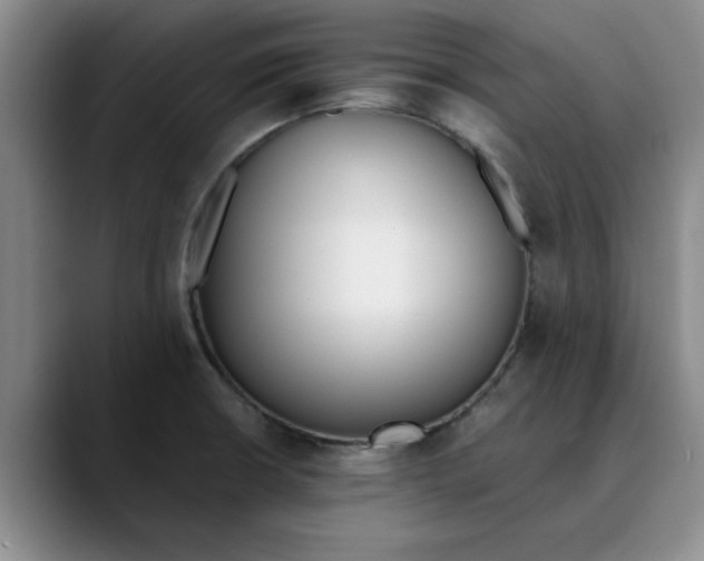 X0000089831426200707191818