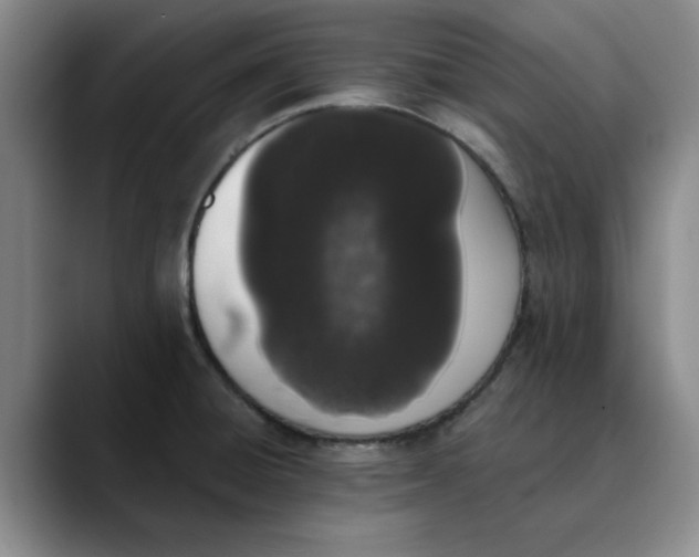 X0000089831428200707191818