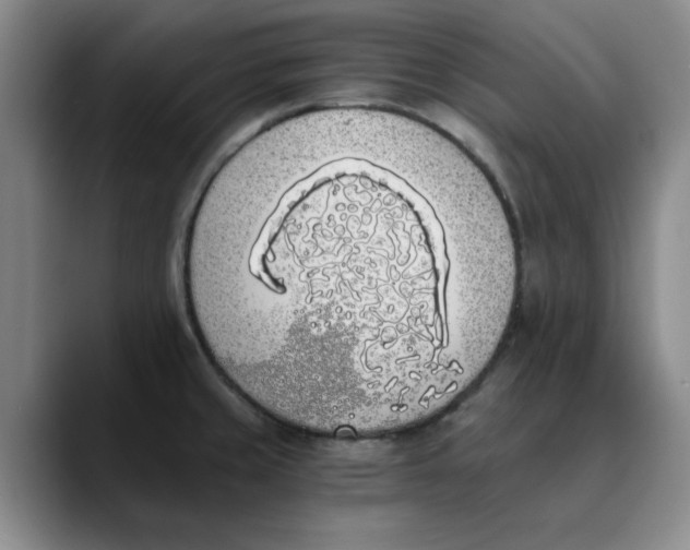 X0000089831429200707191818